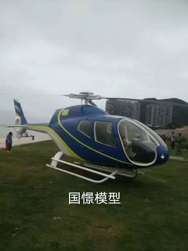 温宿县飞机模型