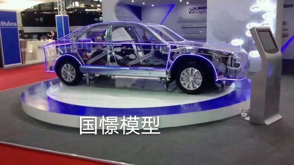 温宿县透明车模型